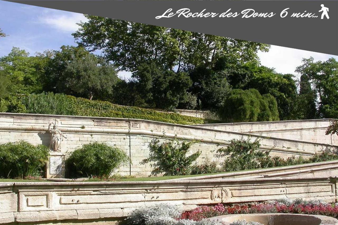 Le Chapeau Rouge Au Coeur Du Centre Historique Αβινιόν Εξωτερικό φωτογραφία